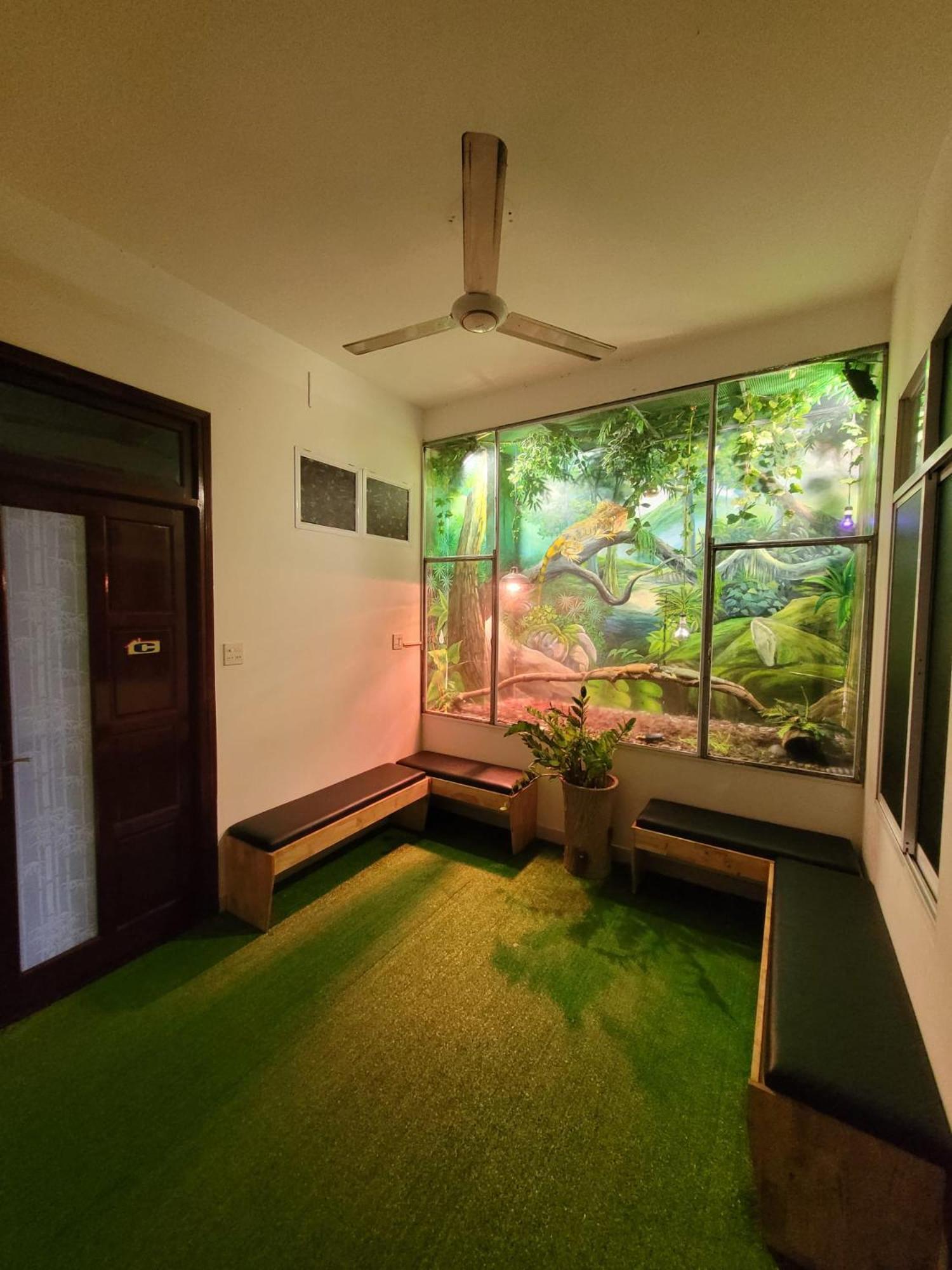 Jungle Dorm Nha Trang Hostel Ngoại thất bức ảnh